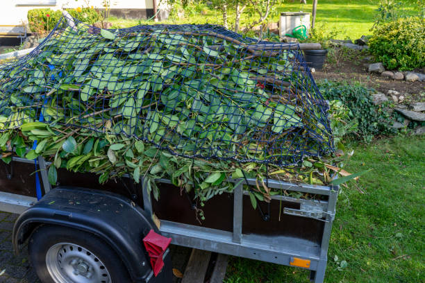 Best Carpet Removal and Disposal  in Upper Exeter, PA